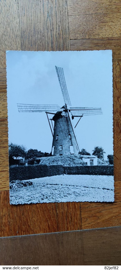 Rijkevorsel Molen +/- 1970 - Rijkevorsel