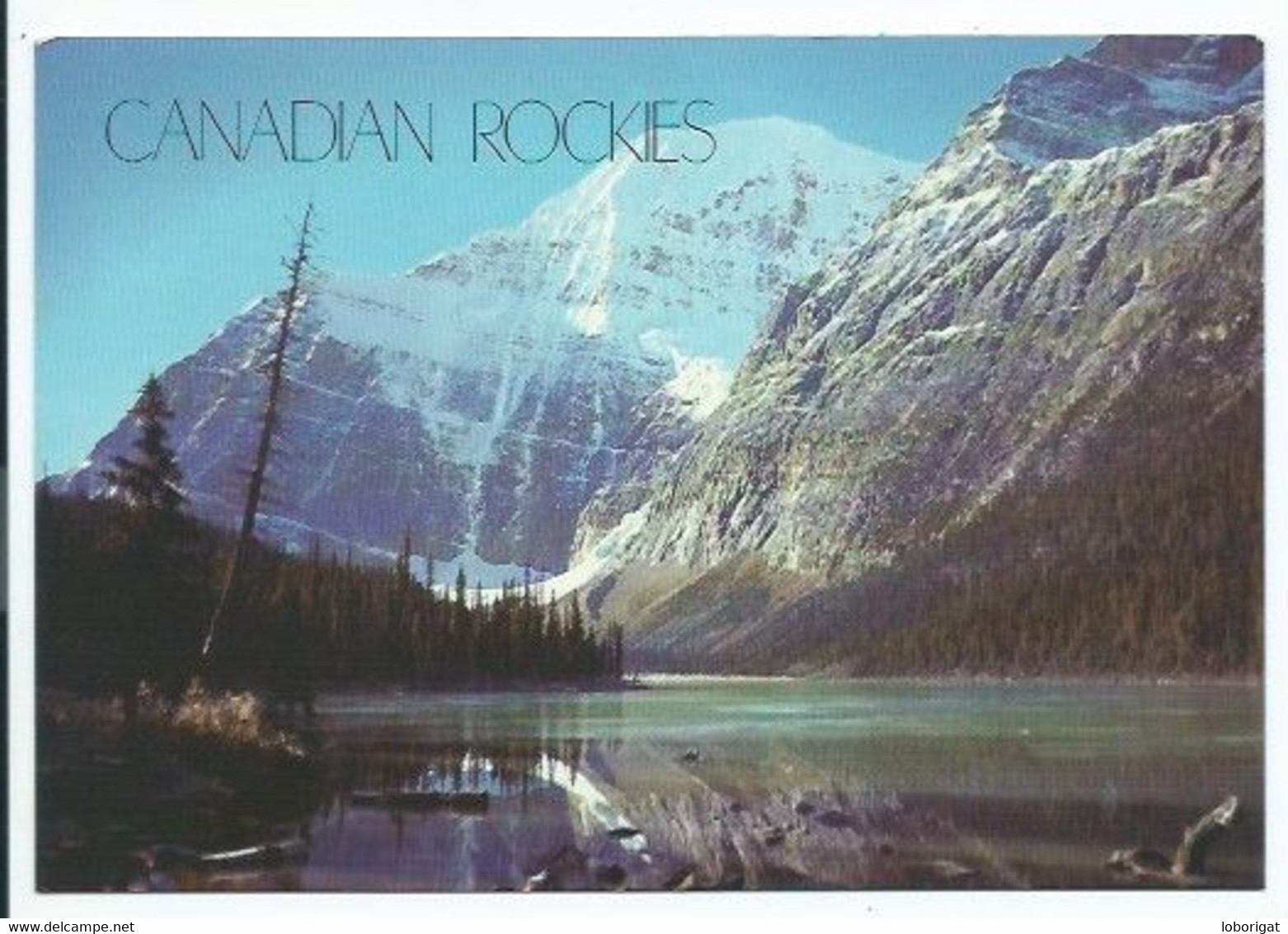 JASPER NATIONAL PARK.- CANADIAN ROCKIES.- JASPER.- ( CANADA ) - Windsor