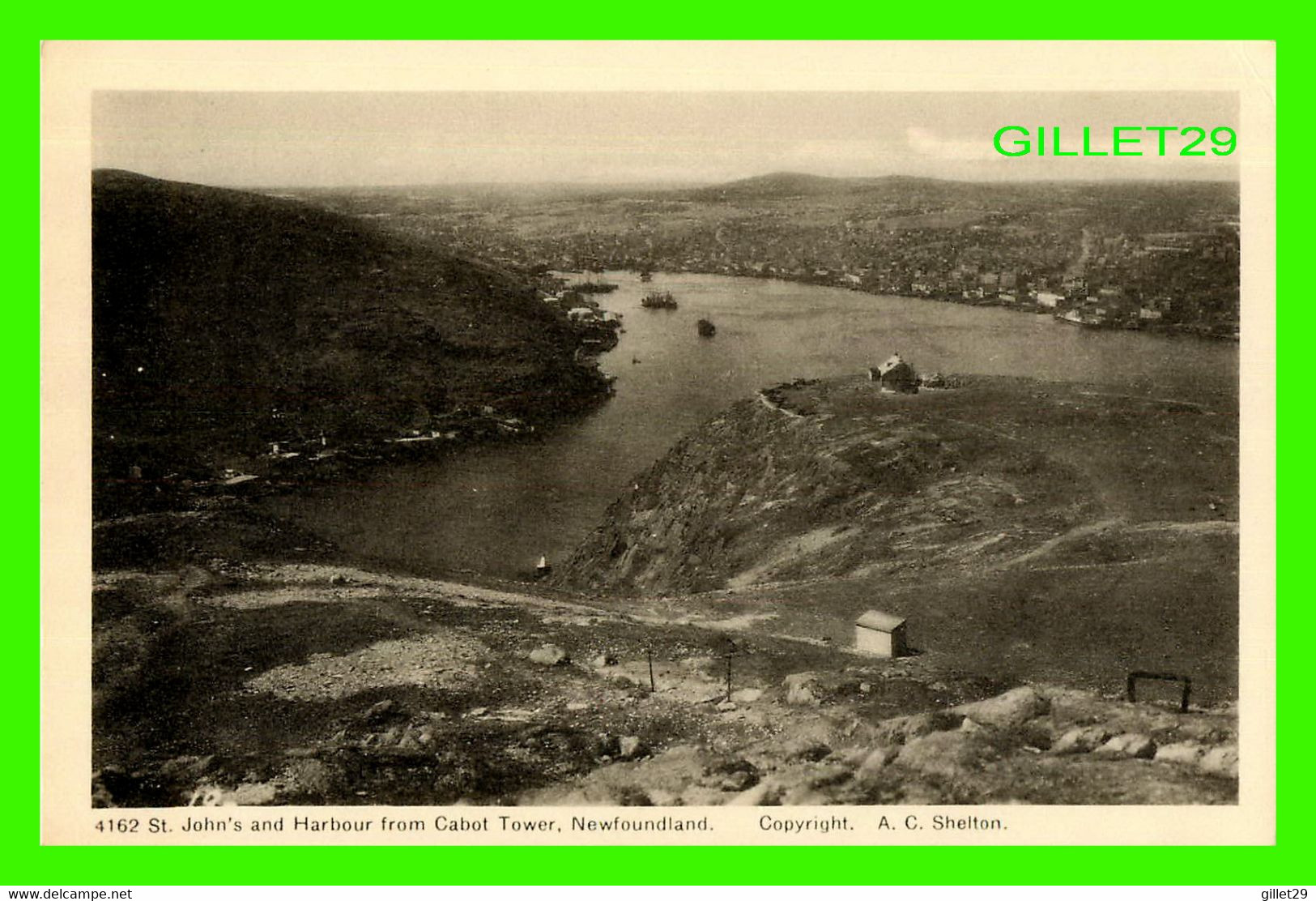 ST JOHN'S, NEWFOUNDLAND - THE CITY & HARBOUR FROM CABOT TOWER - A. C. SHELTON - PECO - - St. John's