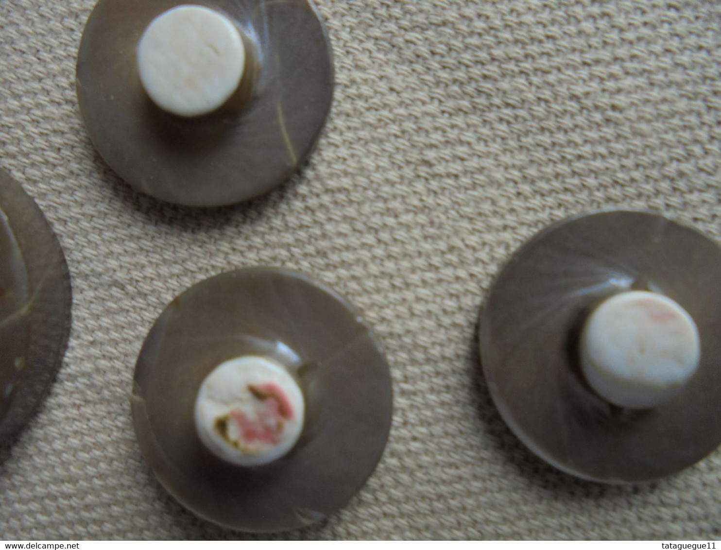Ancien - 4 boutons incurvés en nacre ( 1 gros et 3 petits)