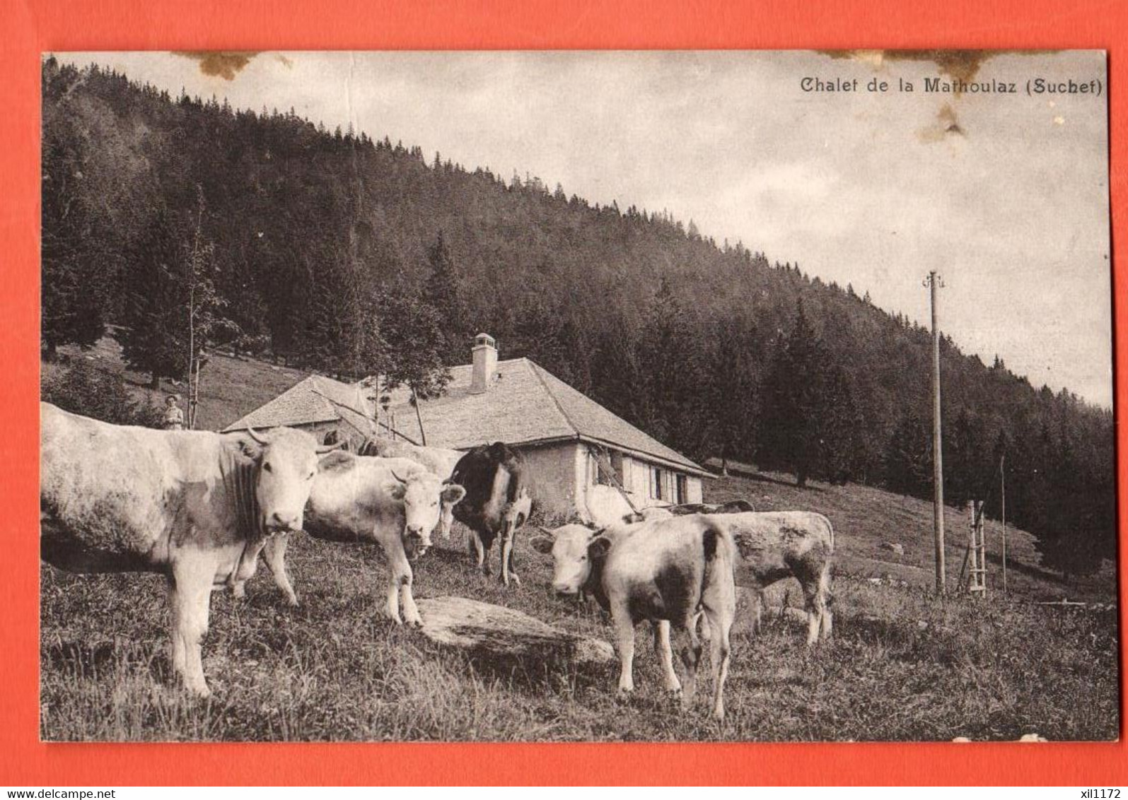 FEC-06 JURA VAUDOIS Chalet D'alpage.de Mathoulaz Suchet Rances Troupeau  Vaches Traces De Collage Au Dos.Deriaz - Rances