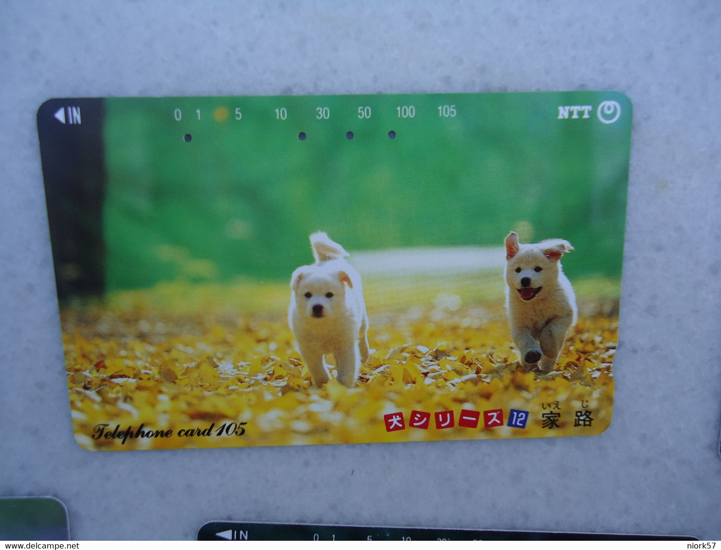 JAPAN   NTT AND  OTHERS CARDS  ANIMALS  DOG  DOGS - Dogs