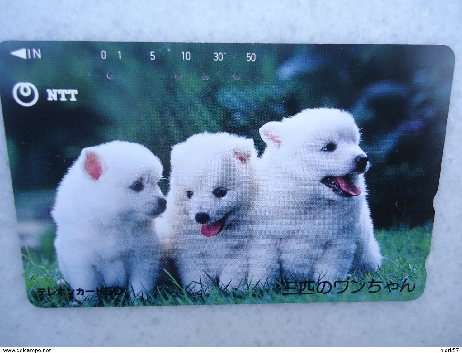 JAPAN   NTT AND  OTHERS CARDS  ANIMALS  DOG  DOGS - Chiens