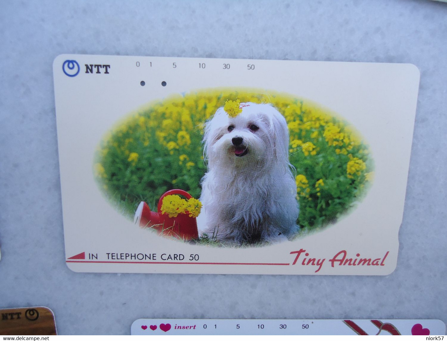 JAPAN   NTT AND  OTHERS CARDS  ANIMALS  DOG  DOGS - Perros