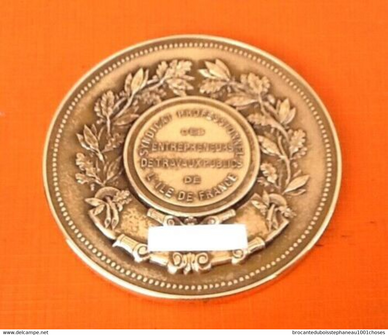 Médaille (1972) Bronze  La Renommée Proclame Le Mérite Henri Naudé Syndicat Professionnel Des Entrepreneurs Des Travaux - Professionnels / De Société