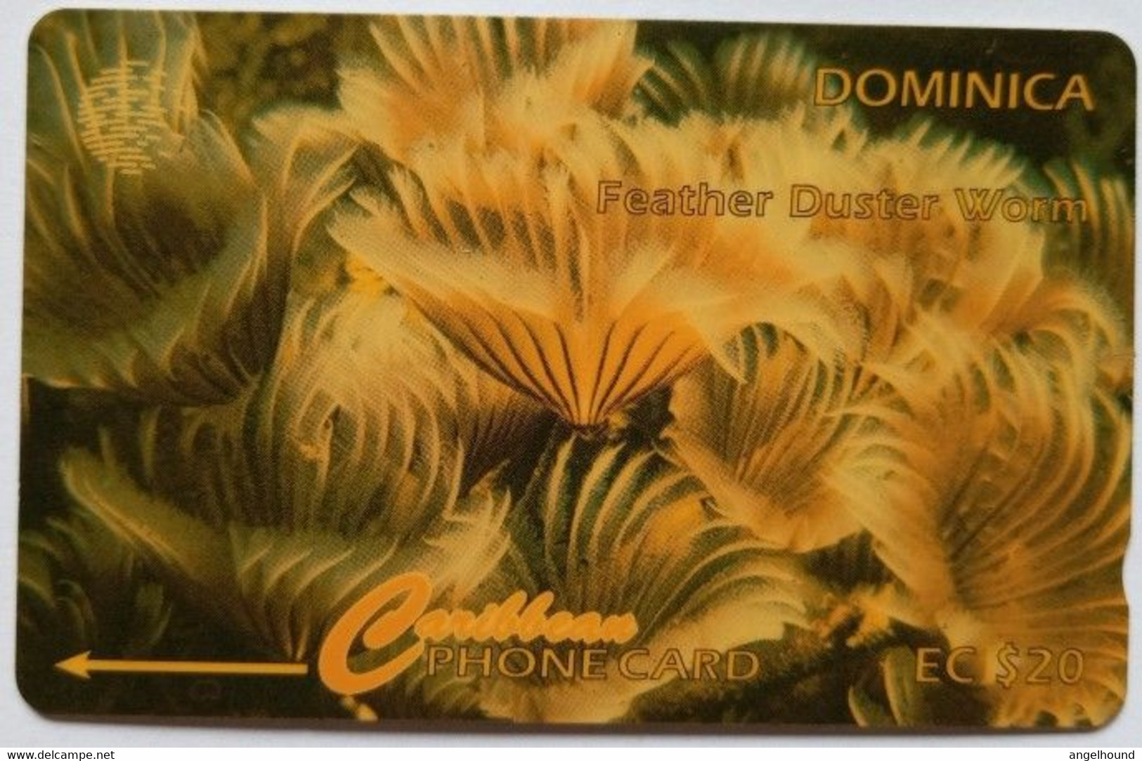 Dominica Cable And Wireless 7CDMF EC$20 " Feather Duster Worm " - Dominique