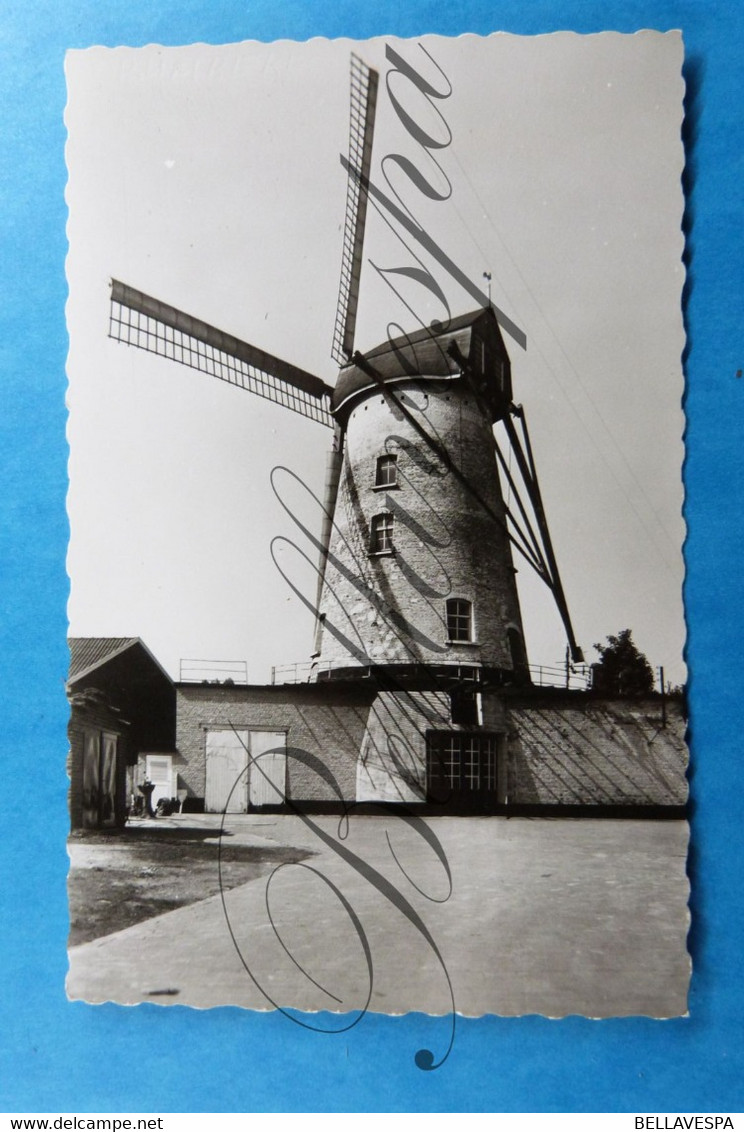 Windmolen. Moulin A Vent. Windmühle 3 X Cpa Rumbeke-Berendrecht- Aalbeke. - Molinos De Viento