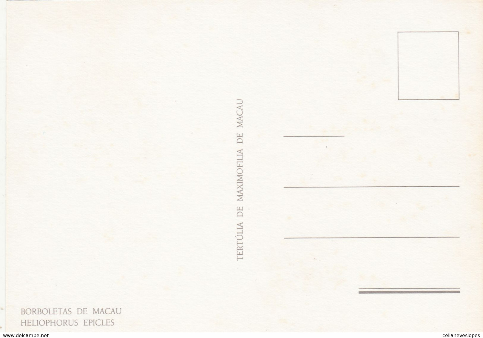Hong Kong, Maximum Cards, (27)  Papillons Hong Kong, 1987 - Maximumkaarten
