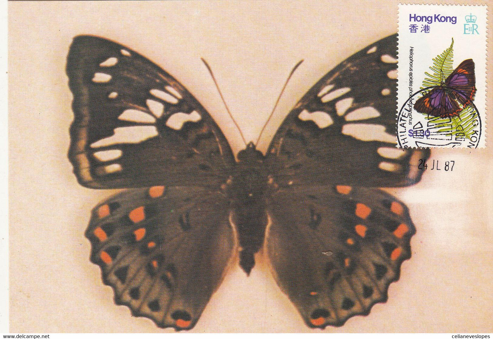 Hong Kong, Maximum Cards, (28)  Papillons Hong Kong, 1987 - Cartes-maximum