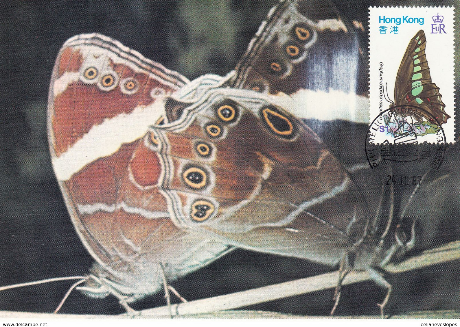 Hong Kong, Maximum Cards, (29)  Papillons Hong Kong, 1987 - Tarjetas – Máxima