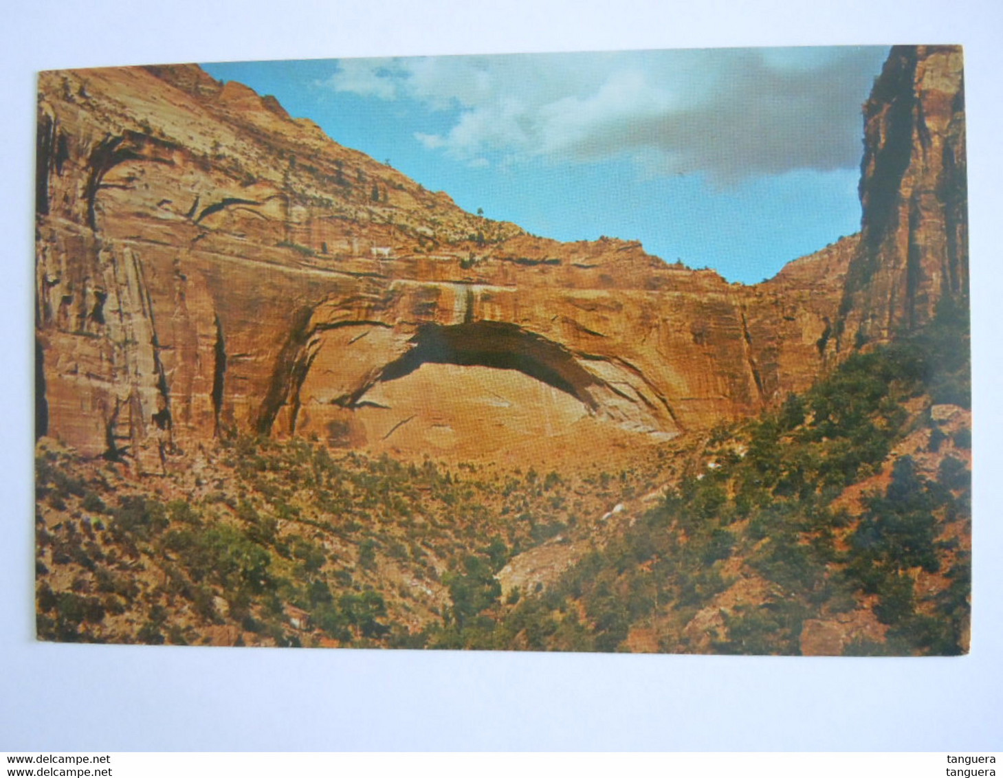 Utah Zion National Park The Great Arch From The Switchback Road - Zion