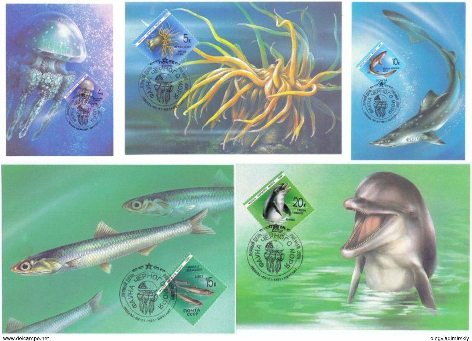 USSR 1991 Fauna Of Black Sea Set Of 5 Maxicards - Cartes Maximum