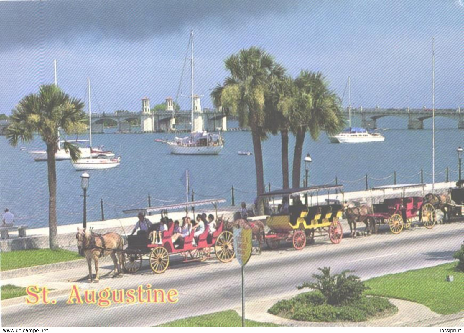 USA:Florida, St. Augustine, Horsedrawn Carriages - St Augustine