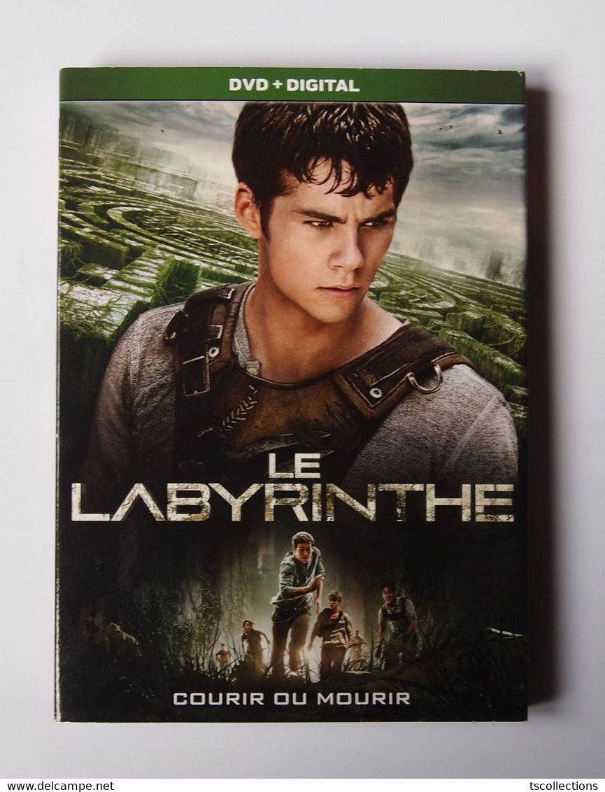 Le Labyrinthe - Fantastici