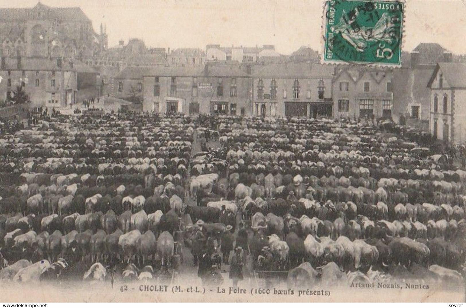 CHOLET. - La Foire (1600 Boeufs Présents) - Cholet