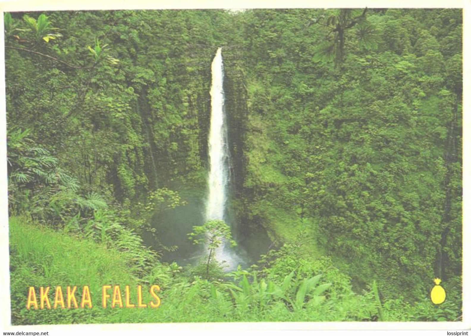 USA:Hawaii, Akaka Waterfalls - Hawaï