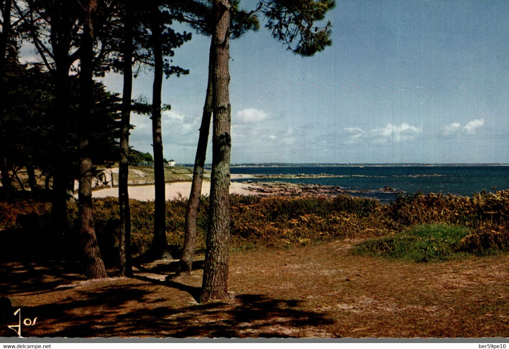 29 BEG MEIL LA MER ET LES PINS DEVANT LA GRANDE PLAGE - Beg Meil