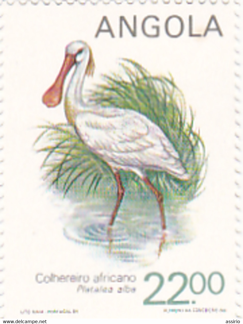 Portugal   - 6  Selos Com Aves De Angola - Afrique Portugaise