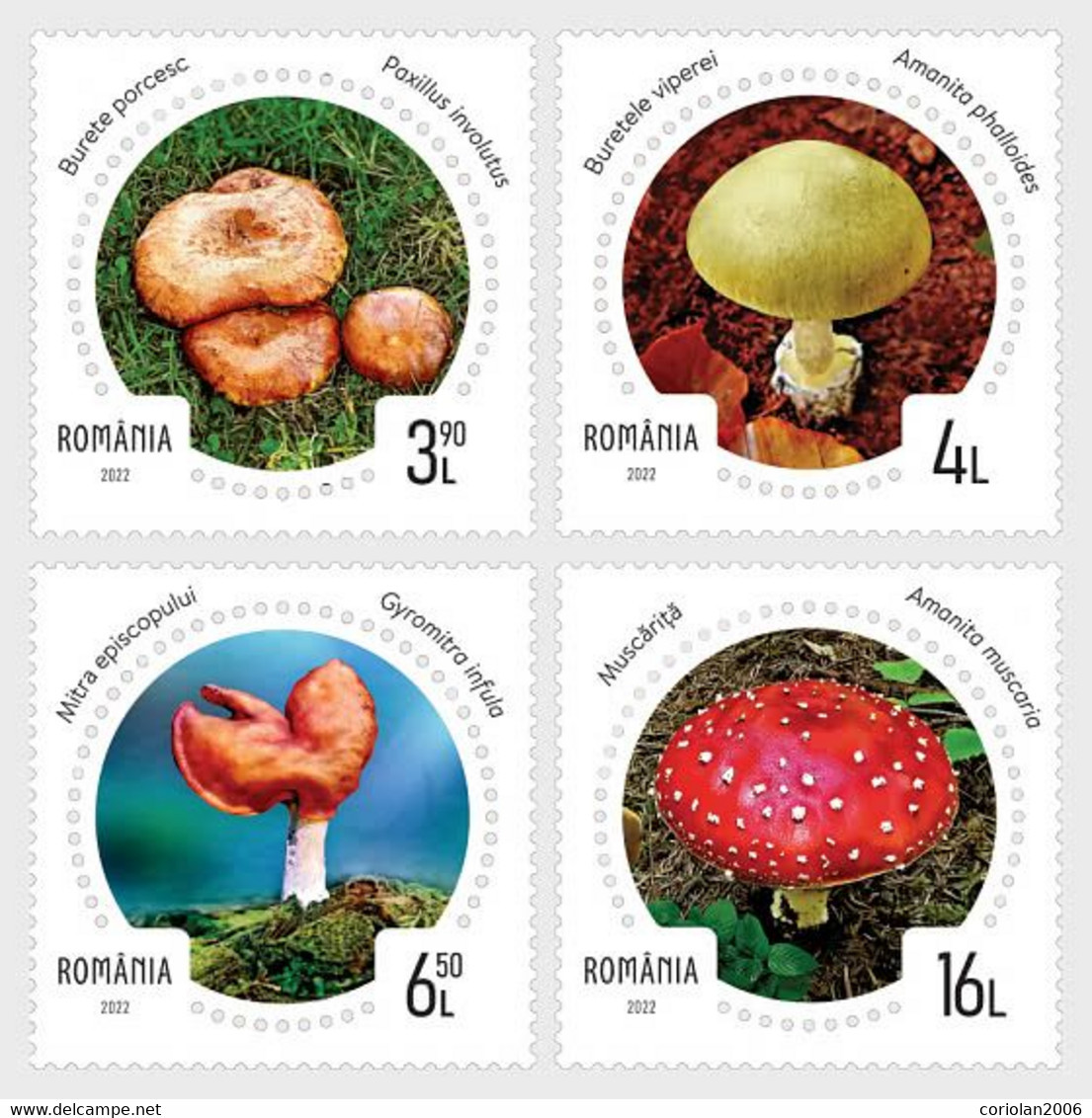 Romania 2022 / Mushrooms / Set 4 Stamps - Nuovi