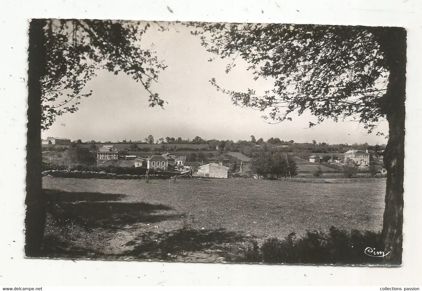 Cp ,79 ,CHAMPDENIERS SAINT DENIS , Vue Générale,  Vierge - Champdeniers Saint Denis