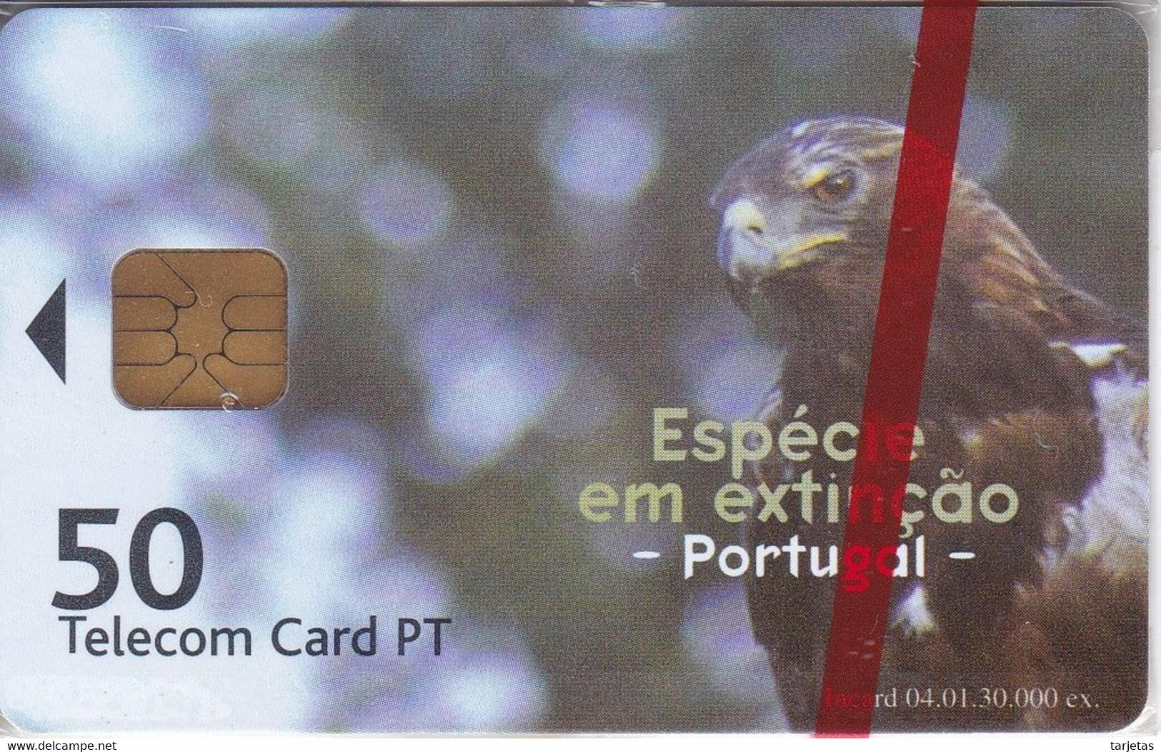 TARJETA DE PORTUGAL DE UN AGUILA - NUEVA-MINT (EAGLE) - Eagles & Birds Of Prey