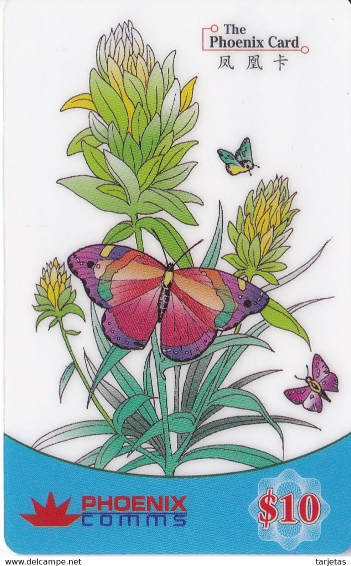TARJETA DE TAILANDIA DE UNA MARIPOSA (BUTTERFLY) - Papillons