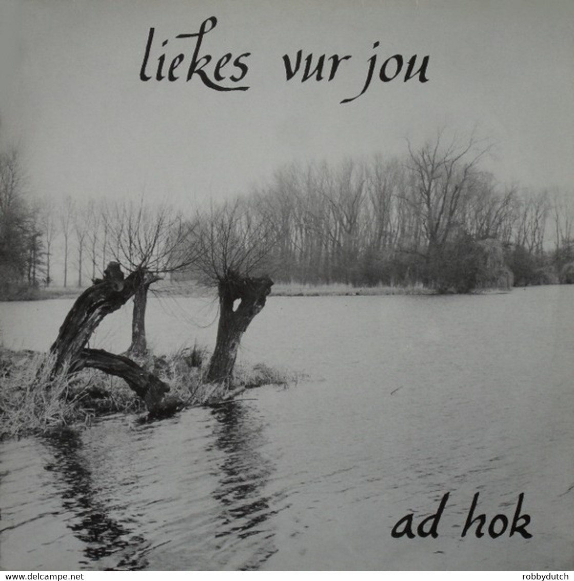 * LP *  AD HOK - LIEKES VUR JOU (Holland 1989) - Autres - Musique Néerlandaise