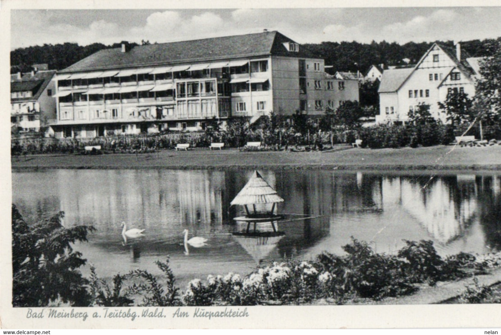 Bad Meinberg A.Teutobg Wald. Am Kurparkteich - F.P. - STORIA POSTALE - Bad Meinberg