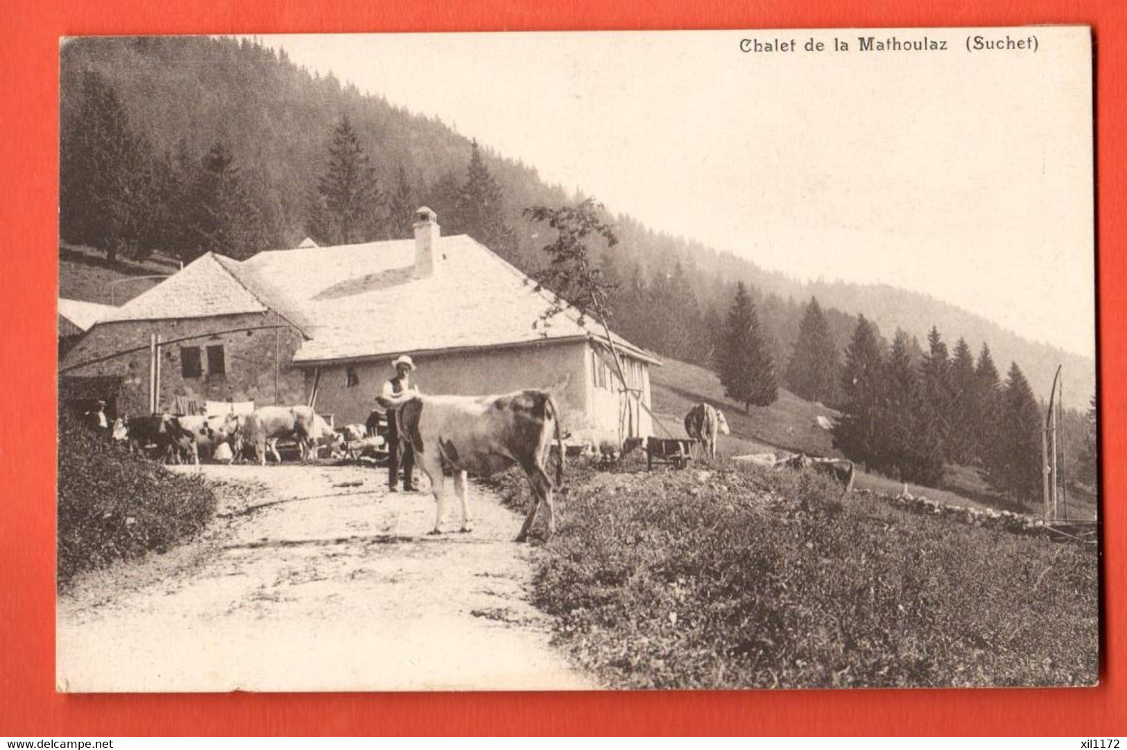 FEC-25 JURA VAUDOIS Chalet D'alpage De La Mathoulaz Suchet Rances Vaches  Traces De Collage Au Dos. - Rances