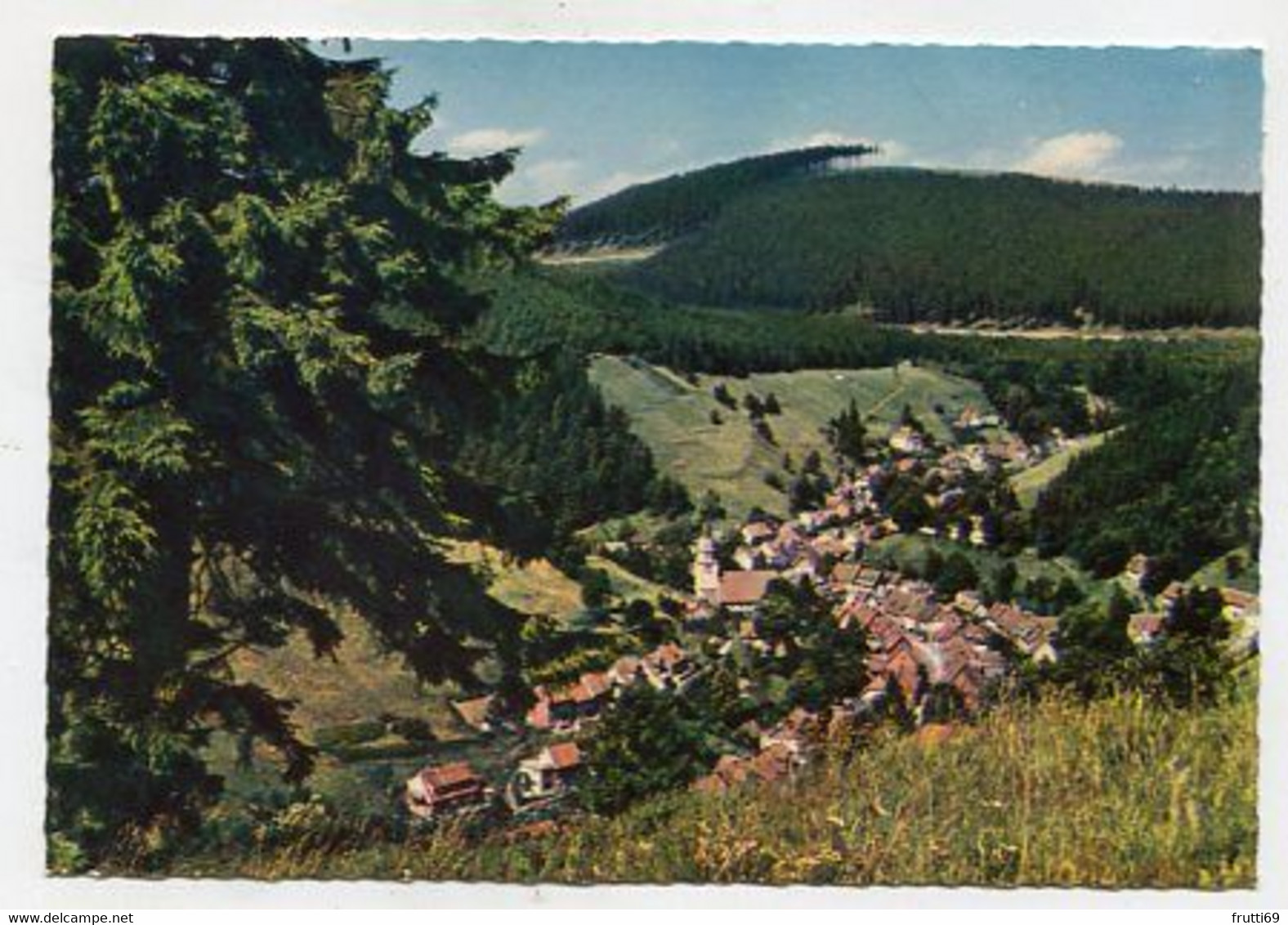 AK 064847 GERMANY - Wildemann - Das Klein-Tirol Im Oberharz - Wildemann