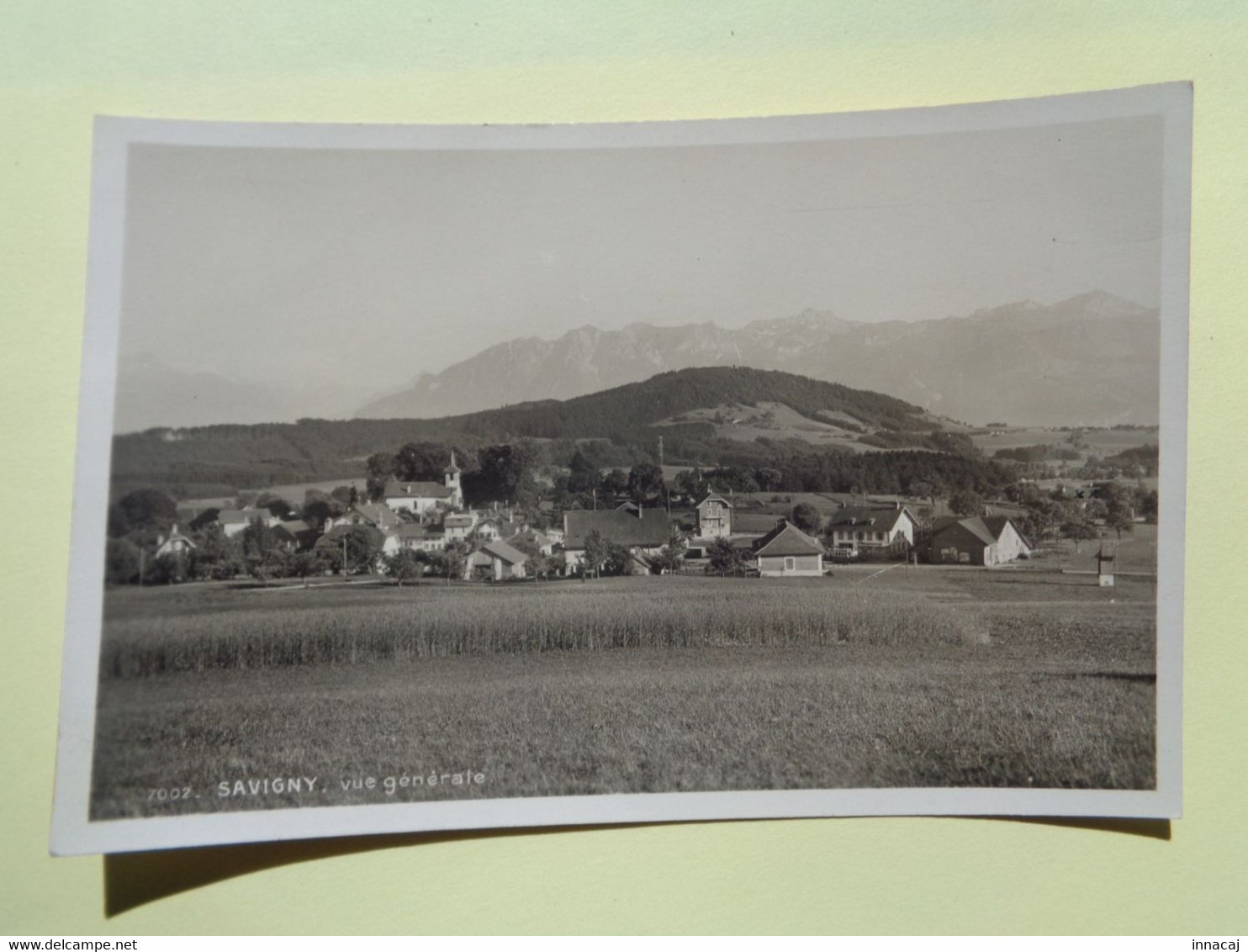 100-5-163            SAVIGNY        Vue Générale   ( Glacée ) - Savigny