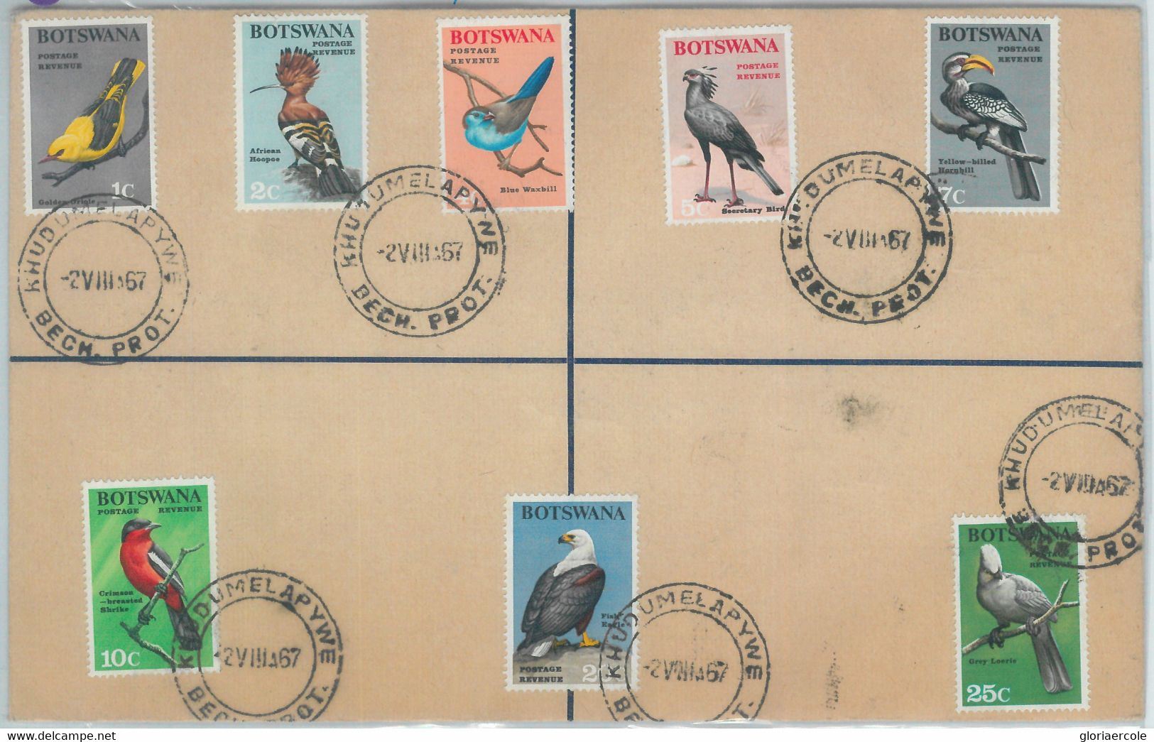 82276 - BRITISH BECHUANALAND - Bird Stamps On POSTAL STATIONERY COVER 1964 - Other & Unclassified