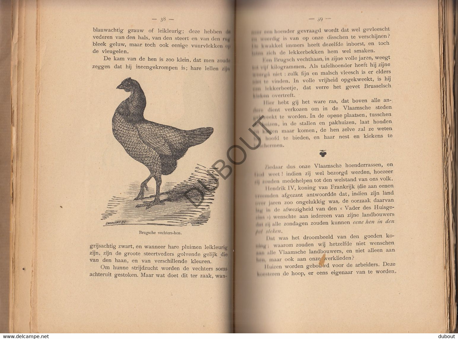 Het Vlaamsch Neerhof - Boerderij - A. Van Speybrouck - 1895 - Met talrijke illustraties in de tekst   (V1441)
