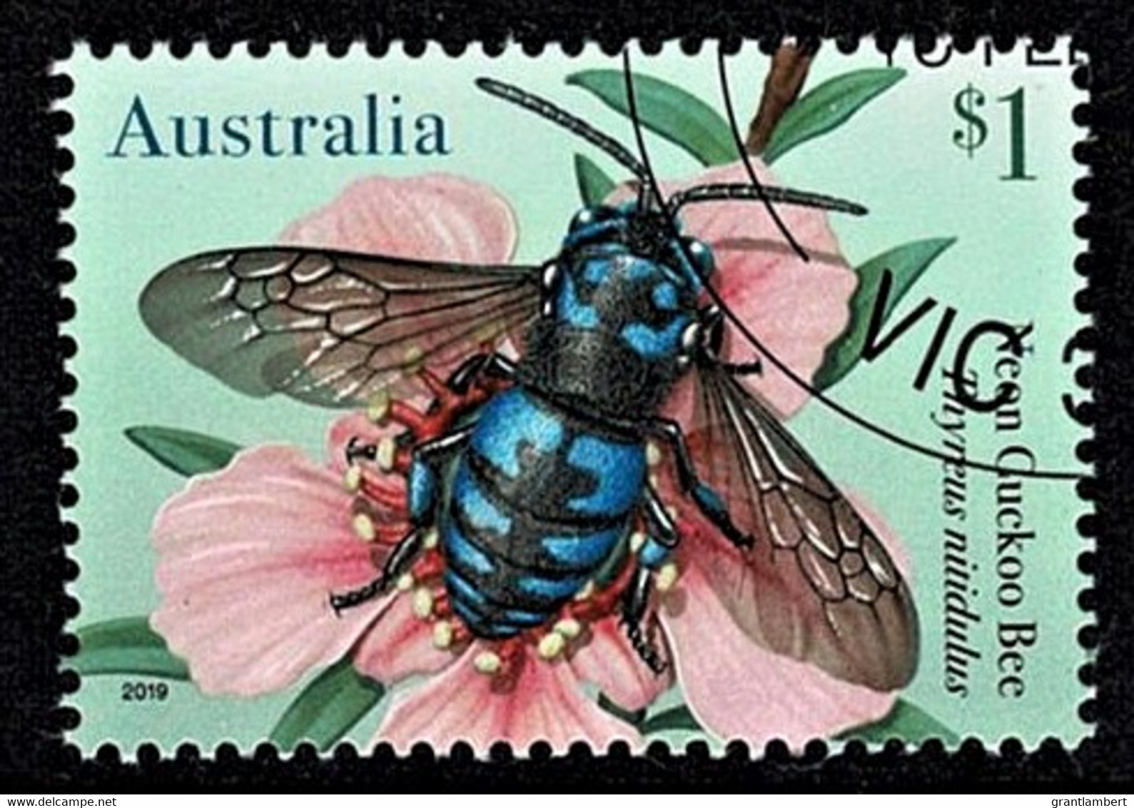 Australia 2019 Native Bees $1 Cuckoo Bee CTO - Used Stamps