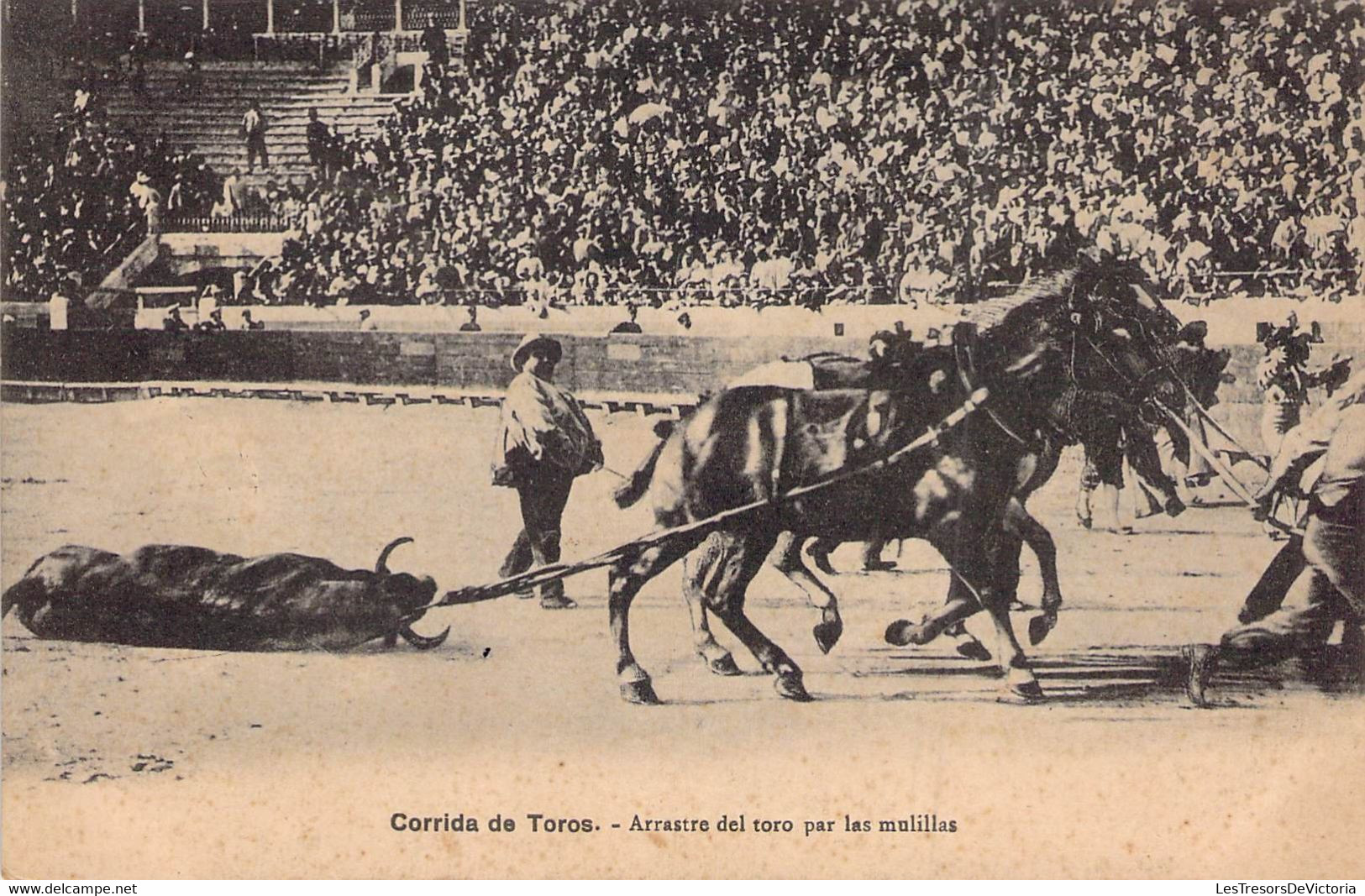 CPA - Corrida De Toros - Arrestre Des Toro Par Las Mulillas - Toreador - Arêne - Chevaux - Taureau - Corrida