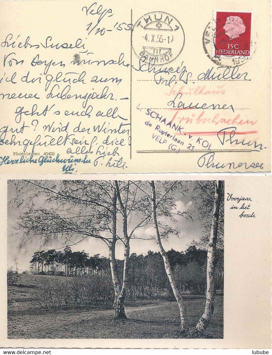 Velp - Karten Vom Lande  (2 Stück)          1937/55 - Velp / Rozendaal