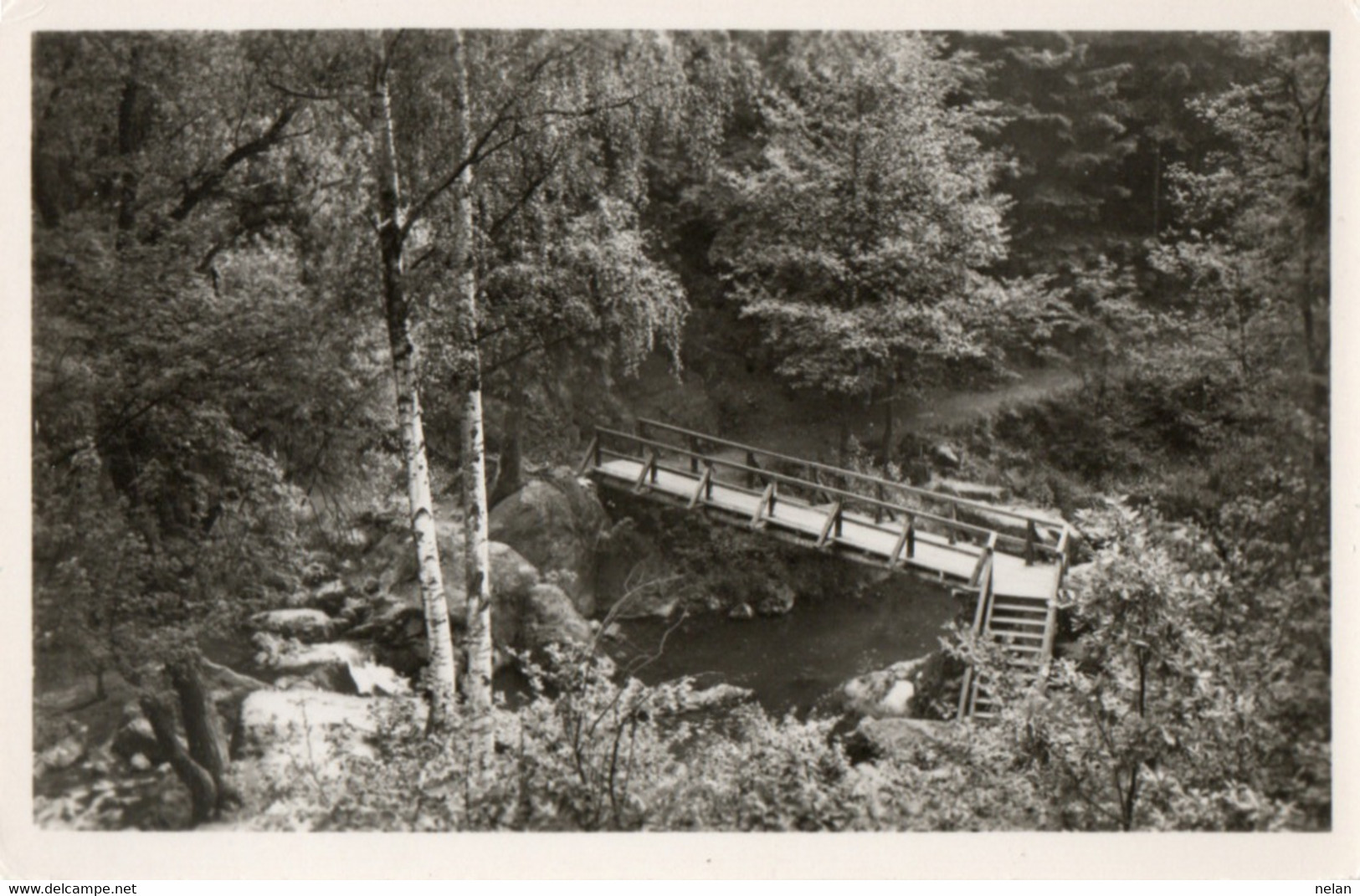 TRIEBTAL - BRUCKE AN DER LORELEY - REAL PHOTO - F.P. - Vogtland