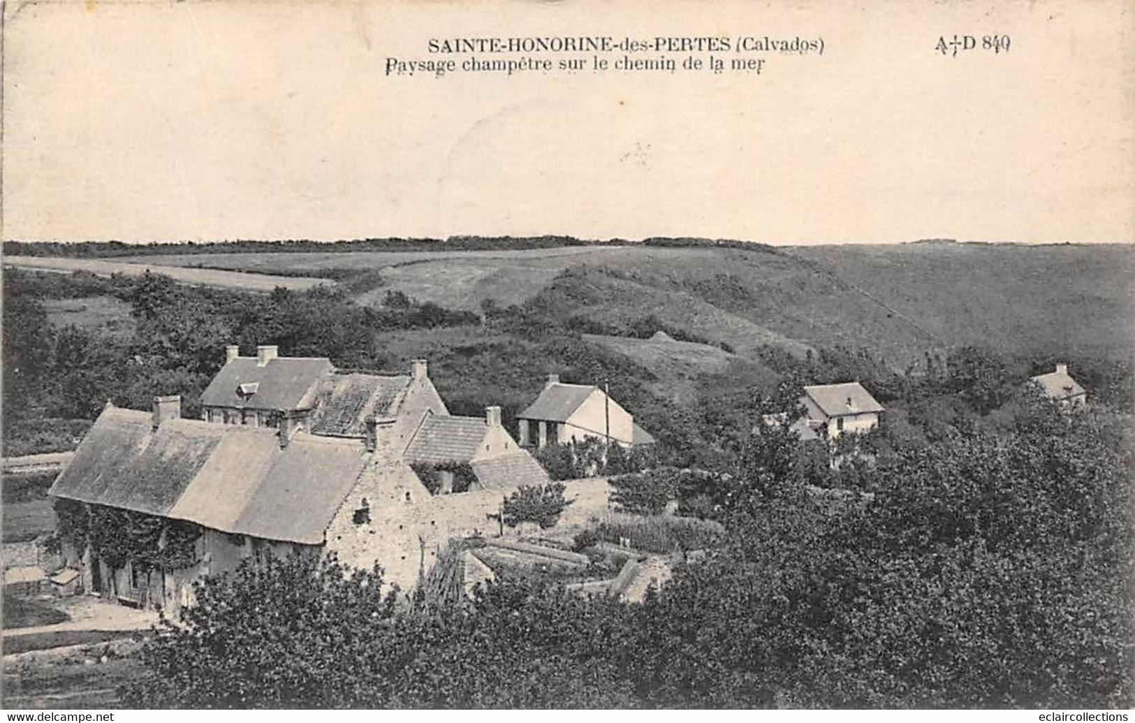 Sainte-Honorine-sur-Mer      14    Paysage Champêtre    (voir Scan) - Sonstige & Ohne Zuordnung