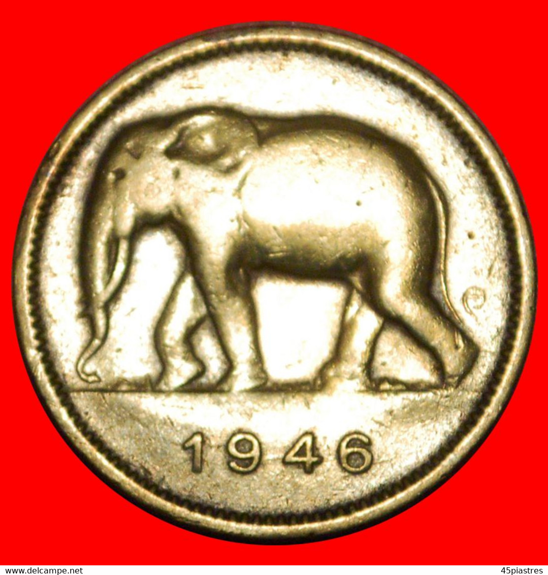 * SOUTH AFRICA ELEPHANT (1946-1947): BELGIAN CONGO ★ 2 FRANCS 1946 UNCOMMON! LOW START ★ NO RESERVE! - 1945-1951: Regencia