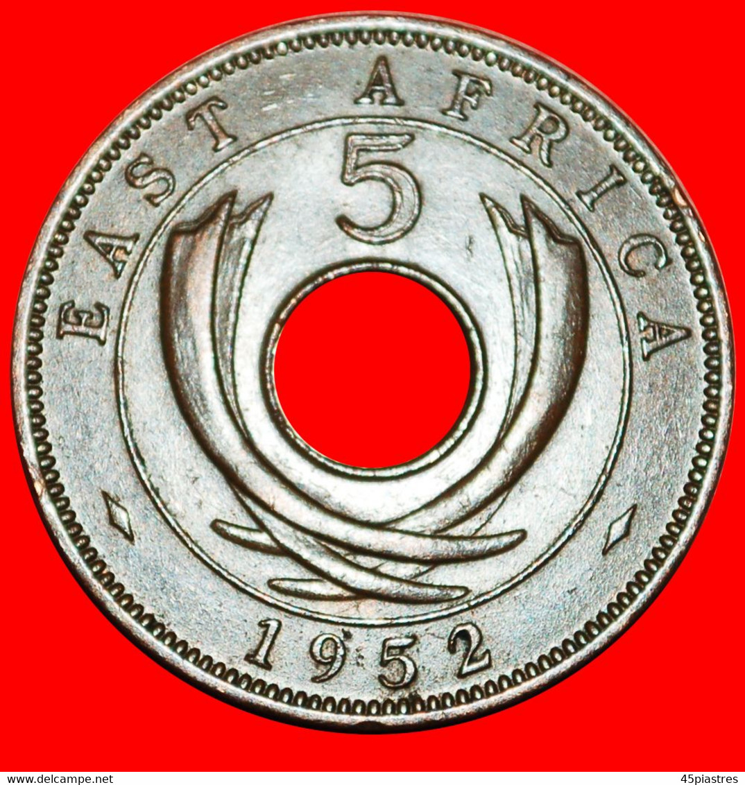 * GREAT BRITAIN (1949-1952): EAST AFRICA ★ 5 CENTS 1952! GEORGE VI (1937-1952) LOW START ★ NO RESERVE! - Britische Kolonie