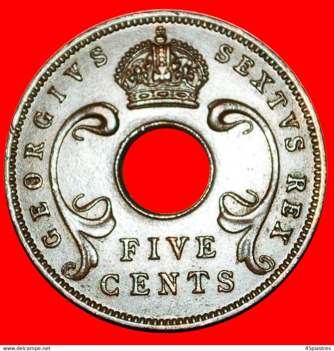 * GREAT BRITAIN (1949-1952): EAST AFRICA ★ 5 CENTS 1952! GEORGE VI (1937-1952) LOW START ★ NO RESERVE! - British Colony