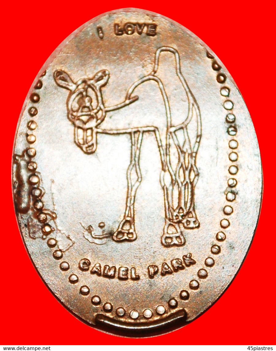 * ELONGATED 5 EUROCENTS: CYPRUS ★ I LOVE CAMEL PARK! LOW START ★ NO RESERVE! - Souvenir-Medaille (elongated Coins)