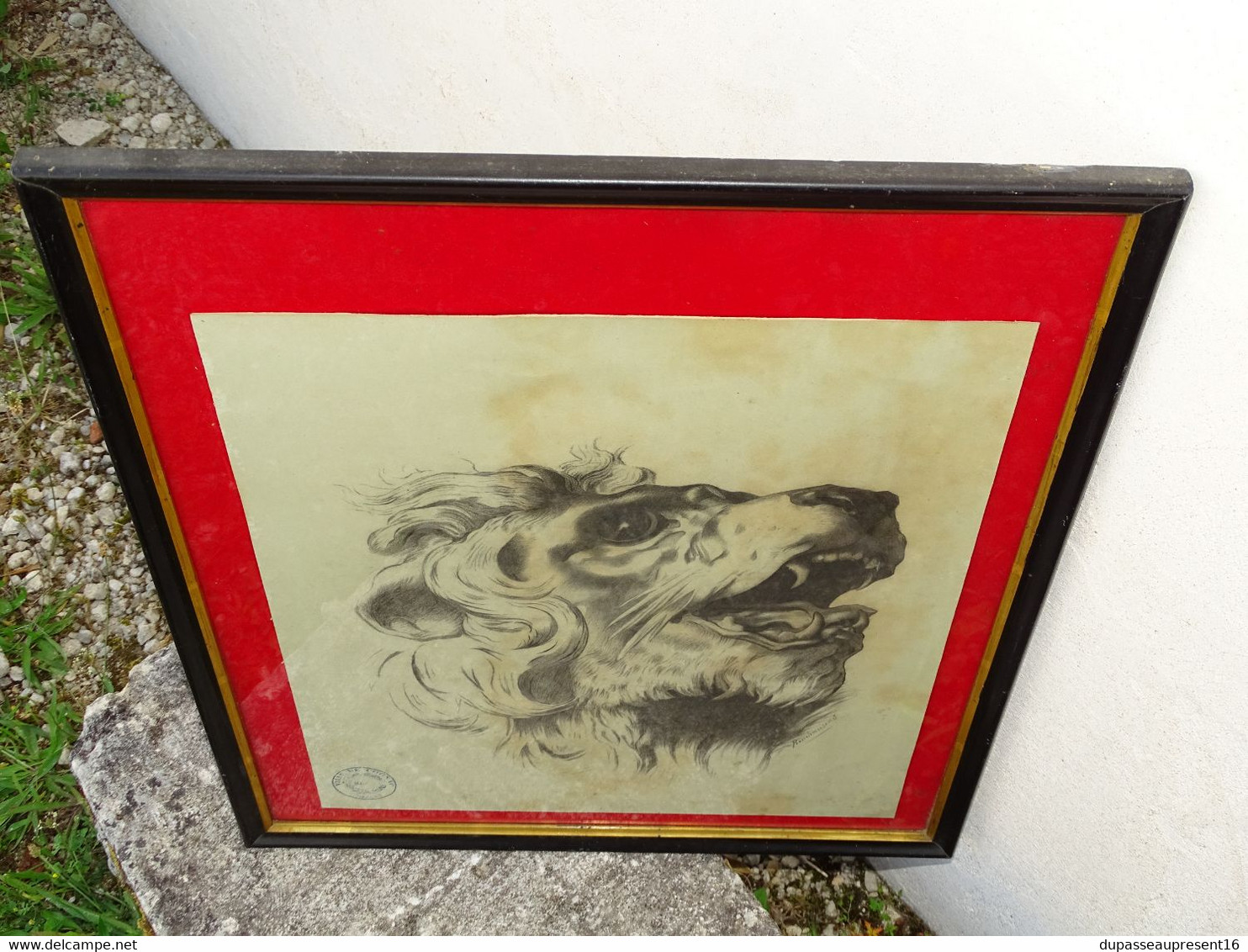 *JOLI ANCIEN DESSIN CRAYON signé BONCHARISEAU Tête de LION RUGISSANT sous Verre  E