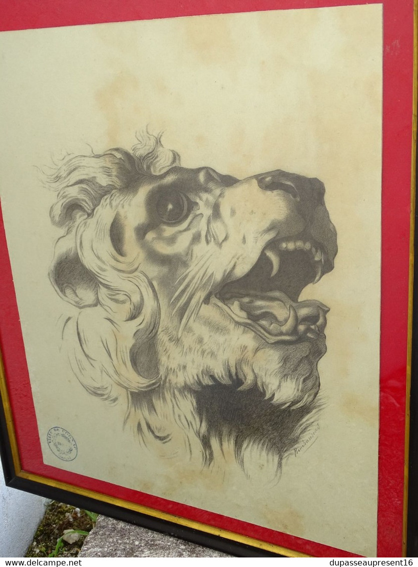 *JOLI ANCIEN DESSIN CRAYON signé BONCHARISEAU Tête de LION RUGISSANT sous Verre  E