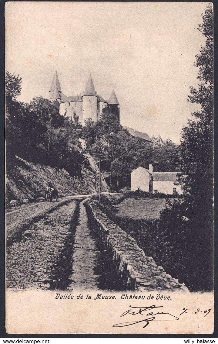 +++ CPA - Vallée De La Meuse - Château De VEVE // - Celles