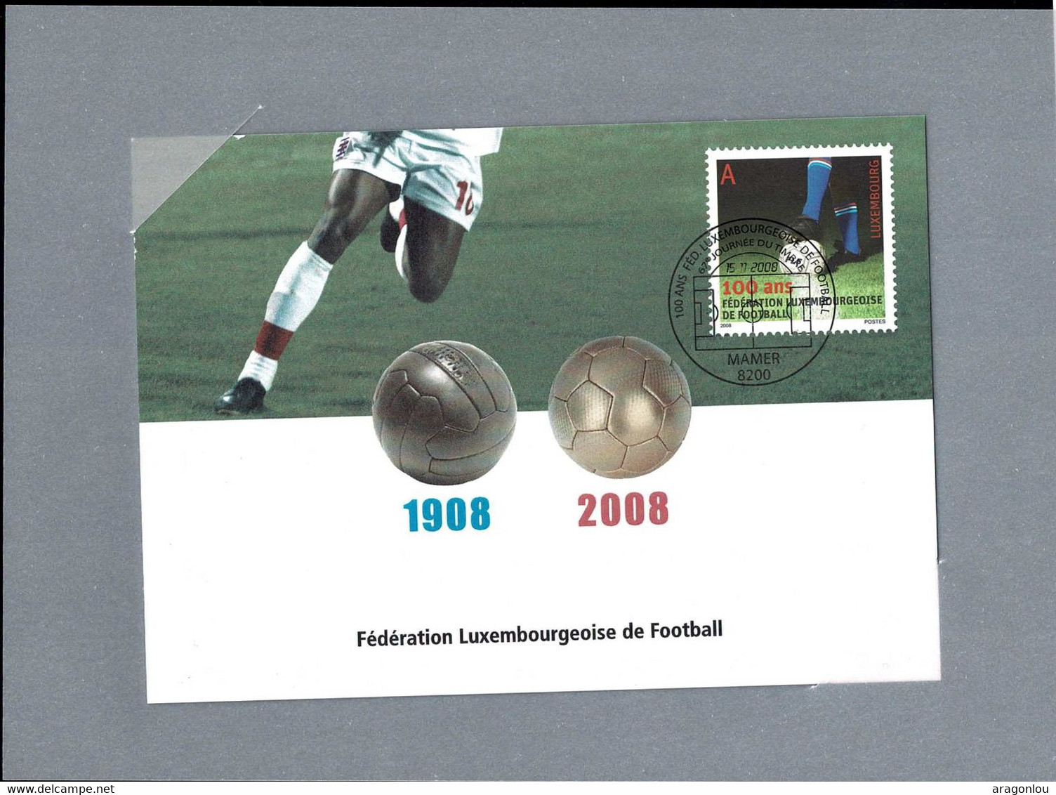 Luxembourg Luxemburg 2008 Carnet & Carte Maximum Centenaire De La FLF Fédération Du Football / 4Scans - Postzegelboekjes