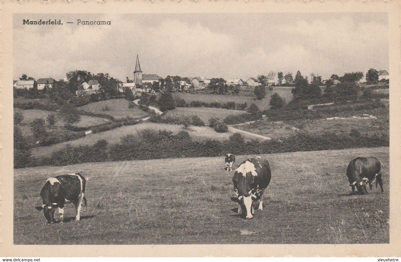 Région Elsenborn Bullange Bullingen Manderfeld - Bullange - Büllingen