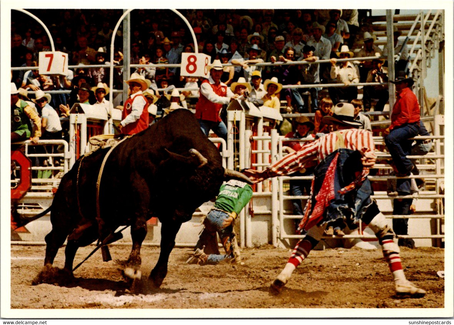 Canada Calgary Exhibition And Stampede Brahma Bull Riding - Calgary