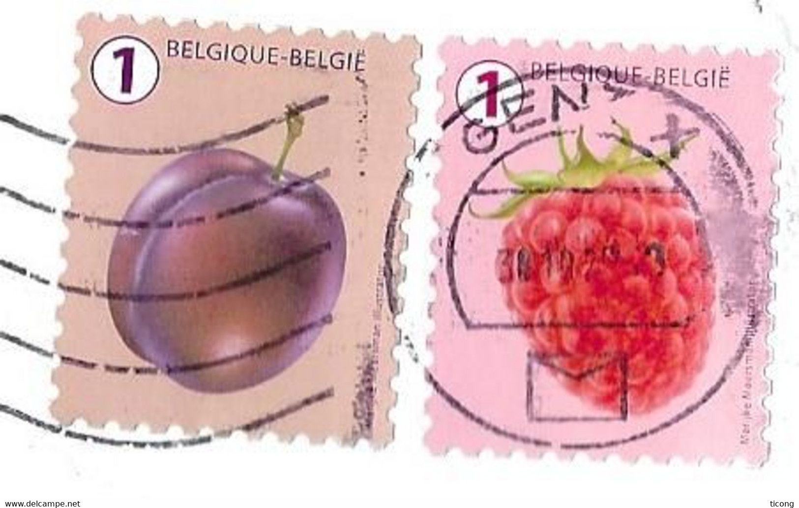 GENT BELGIQUE 2020, THEME FRUITS, UNE PRUNE, UNE FRAMBOISE, VOIR LES SCANNERS - Briefe U. Dokumente