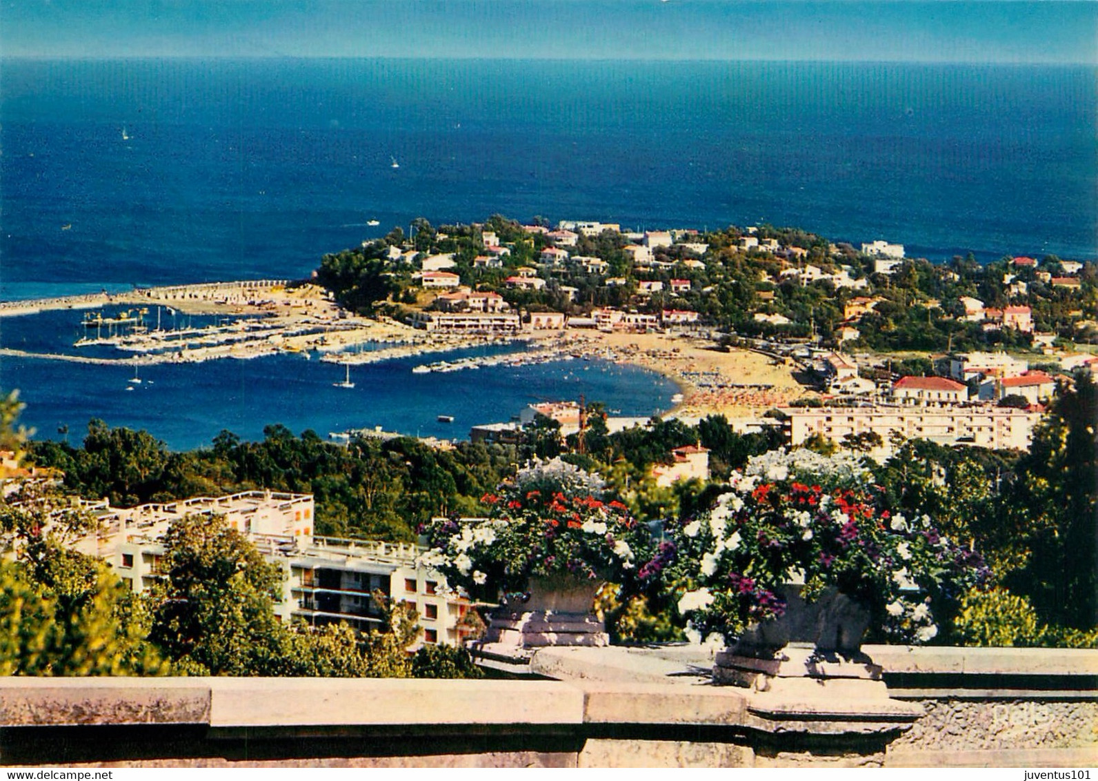 CPSM Cavalaire Sur Mer      L1650 - Cavalaire-sur-Mer